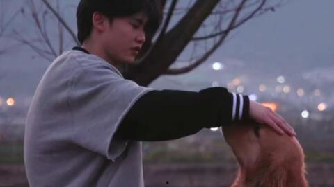 暖男视频,温情脉脉，传递真挚情感