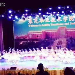 童话镇舞蹈视频分解,梦幻旋律下的奇幻之旅