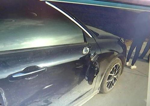 轿车视频大全儿童