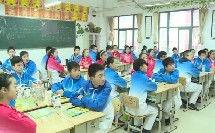 细菌繁殖视频,微观世界中的生命律动